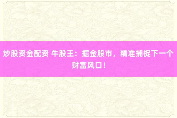 炒股资金配资 牛股王：掘金股市，精准捕捉下一个财富风口！