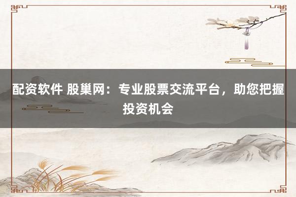 配资软件 股巢网：专业股票交流平台，助您把握投资机会