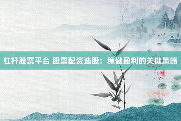 杠杆股票平台 股票配资选股：稳健盈利的关键策略