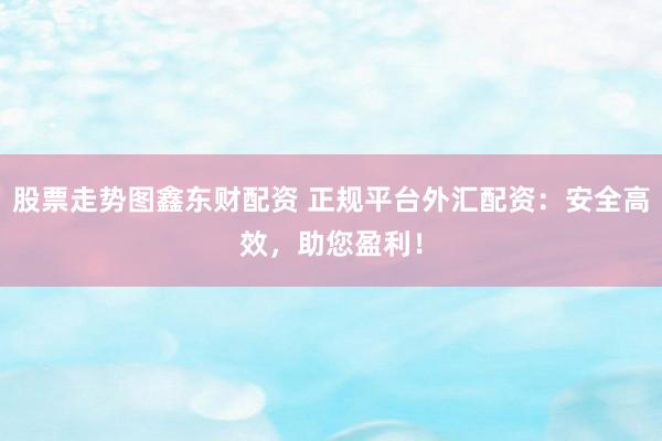 股票走势图鑫东财配资 正规平台外汇配资：安全高效，助您盈利！