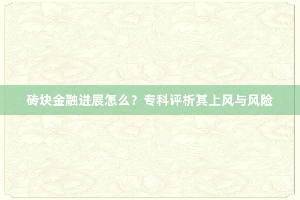 砖块金融进展怎么?专科评析其上风与风险