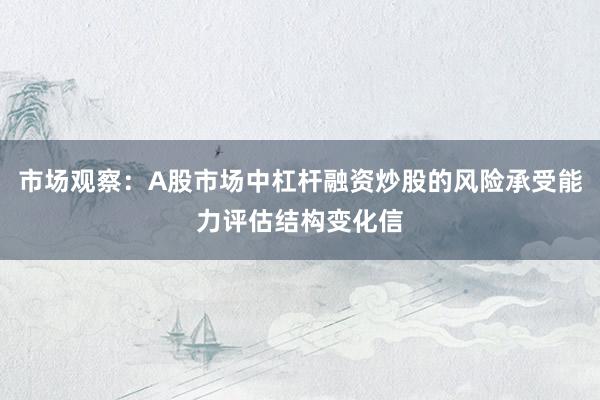 市场观察：A股市场中杠杆融资炒股的风险承受能力评估结构变化信